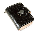 zerbino case