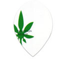 Weed・Teardrop