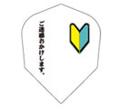 For beginner