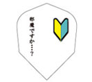 For beginner