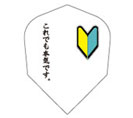 For beginner