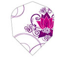 Water lily